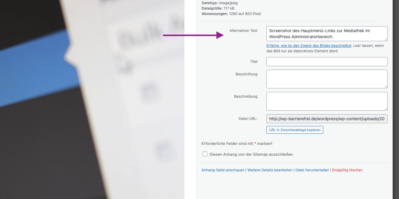 Screenshot des Eingabefeldes für den Alternativtext in der WordPress Mediathek.